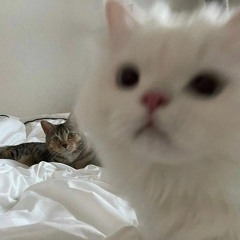 by my side