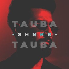 Karan Aujla - Tauba Tauba [SHNKR Remix]