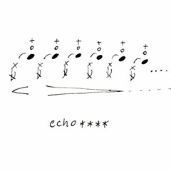 echo ****