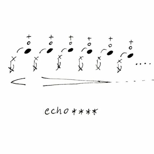 echo ****