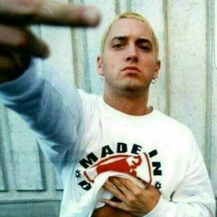 Real Slim Shady Remix