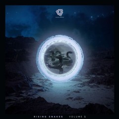 Berto (DE) - Meltdown (Original Mix) [Vision Serpent]