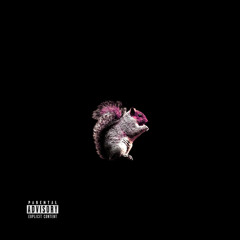 Squirrel (Prod. Abrabeatz)