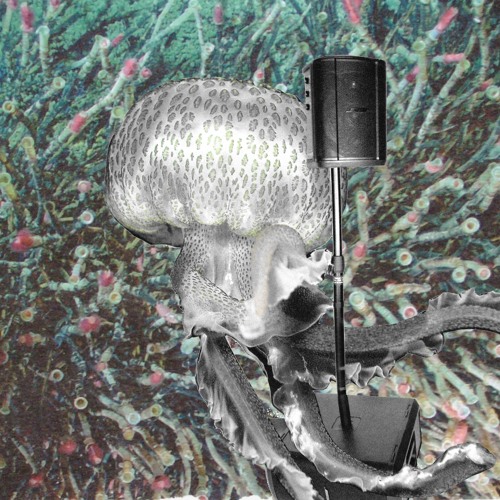 Baby Steps VEP (out 05.03.24)