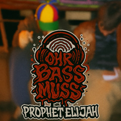 OhrBassMuss #2 Der HERR war nicht im Sturm, sondern im leisen Säuseln - Hypnotic Hardgroove Set