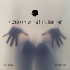 Bad Boy (Ammagin Remix) [feat. Hannah Jones]