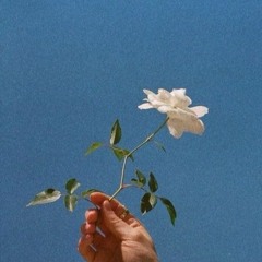 Kali Uchis - Lost In Paradise