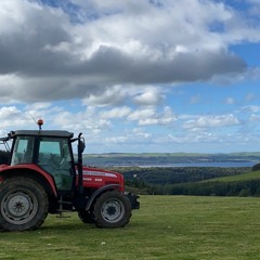 Silage 2k20👌🏻🚜🐑🐮😍
