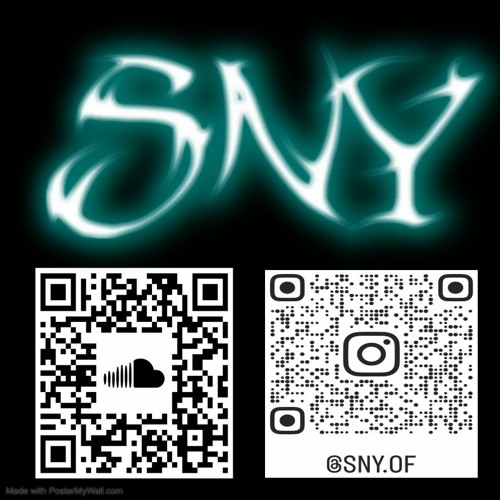 Schneller als der Blitzer - SnY