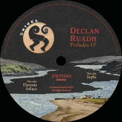 Premiere | Declan Ruadh - Sephi (SWIV001)