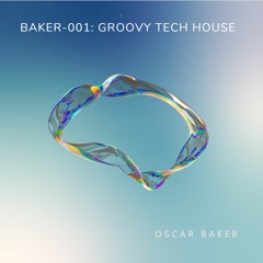 Baker-001: Groovy Tech House