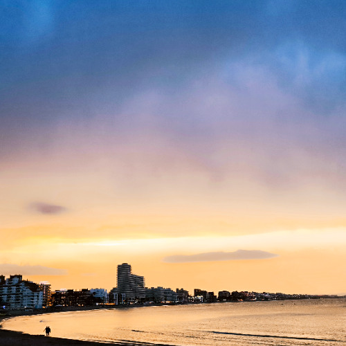 Searching for attention