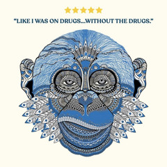 DollarSign Chri$ - No Suprise