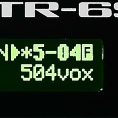 TR-6S_504vox