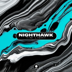 Tim Light - Nighthawk (Original Mix) [ASTRX]