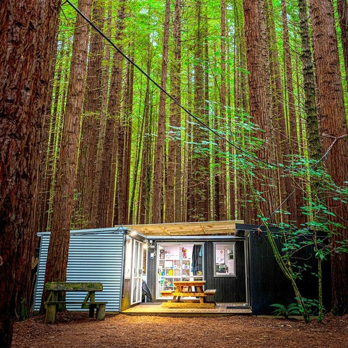 Drift Deeper Live Show 256 - 17.03.24