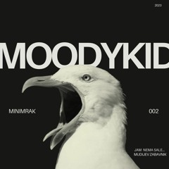 Moodykid - Minimrak (Live Jam)