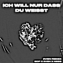 ICH WILL NUR DASS DU WEISST (RMX)