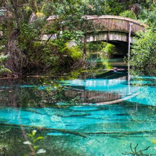 Best Fun Things To Do In Davenport Florida Tours Review