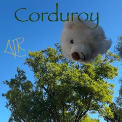 Corduroy
