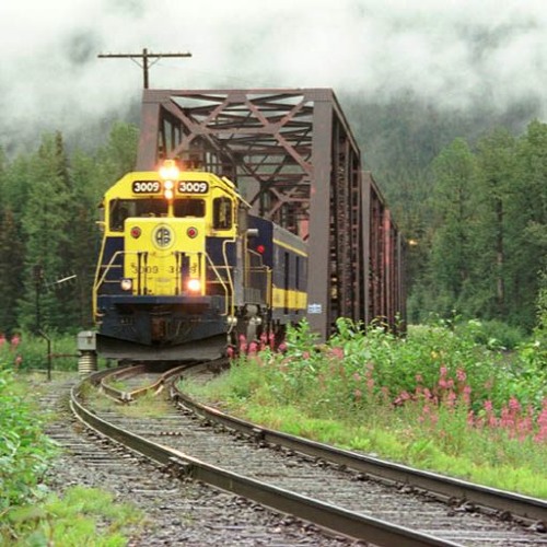 Birdy And I Called The Train