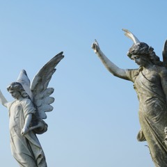 Devine Angels
