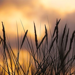 warm breeze