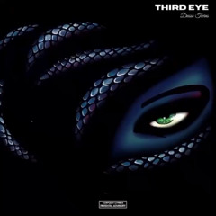 DusseTwins - Third Eye