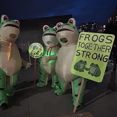 Evalution - Bulls on parade remix (Khemia Froggy Edit).wav