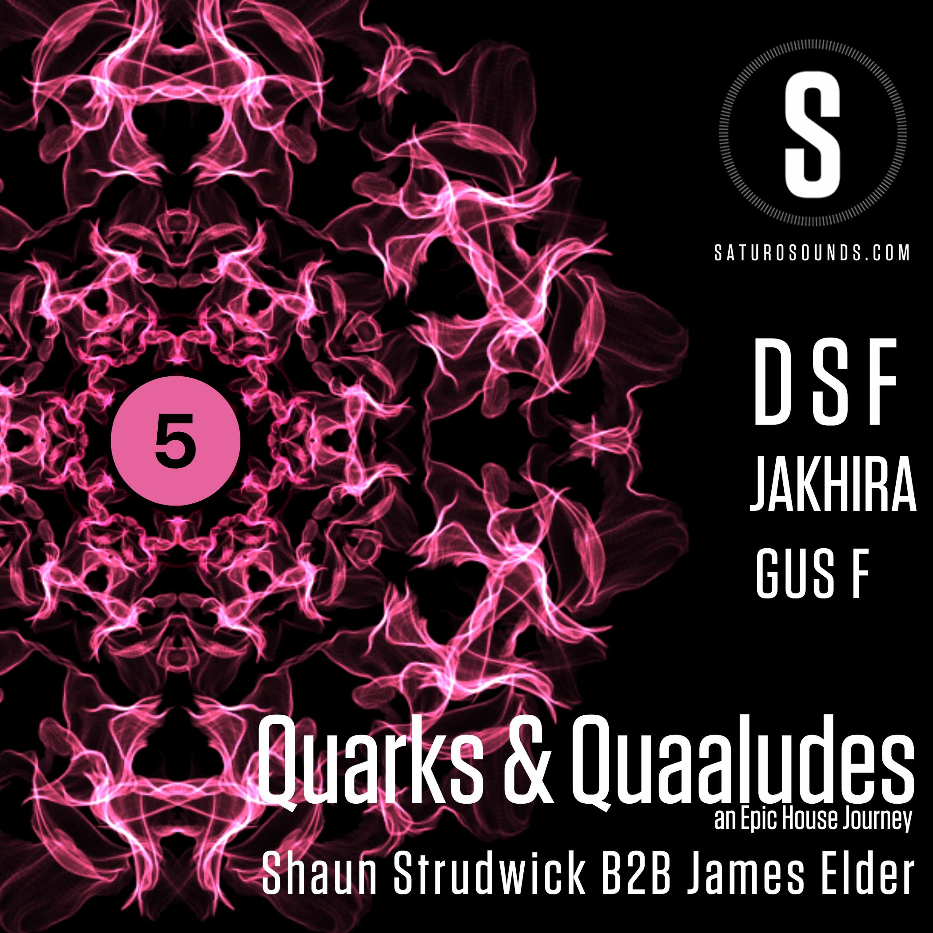Quarks & Quaaludes #EpicHouseJourney