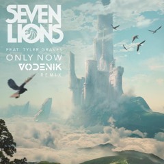 Seven Lions - Only Now (feat. Tyler Graves) (Vodenik Remix)