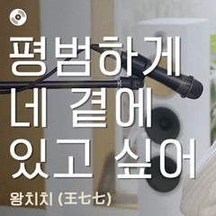 王七七(왕치치) - 我愿意平凡的陪在你身旁(평범하게 네 곁에 있고 싶어)(Feat.Jian)(USER_1 Bootleg)