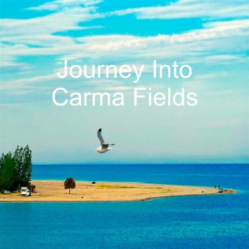 Journey into Carma Fields