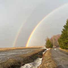 031 Hiroki: Space to Dance and Think