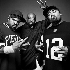 Westside Connection ft.(Eminem, Redman, Snoop Dogg, DJ Kool) - Hoo-Bangin' (Remix)