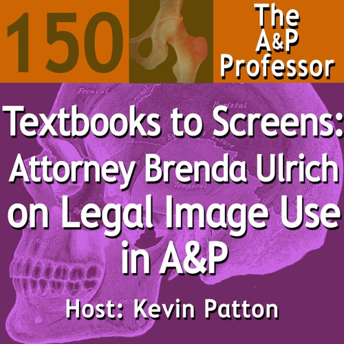 Textbooks to Slides: IP Attorney Brenda Ulrich on Legal Image Use in Anatomy & Physiology | TAPP 150