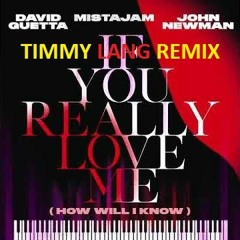 David Guetta X MistaJam X John Newman - If You Really Love Me (How Will I Know) (Timmy Lang Remix)