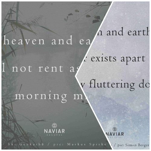 morning mist [ naviarhaiku584 ]