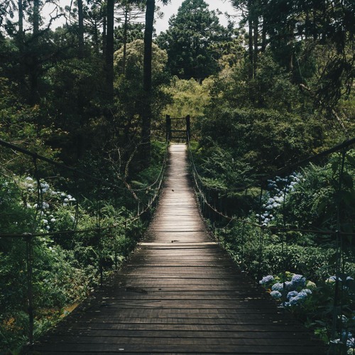 The Distance Between Us
