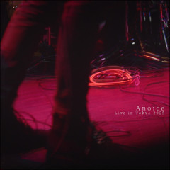 liange (Anoice 'Live in Tokyo 2025')