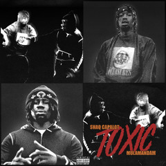 Toxic (feat. Mulamandam)