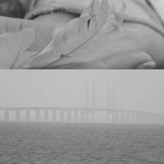 Croatian Amor & Scandinavian Star - Last Thing You