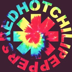 Red Hot Chili Peppers - Otherside (Mario S Deep House Remix)