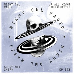 Night Owl Radio 373 ft. Mindchatter and SNBRN