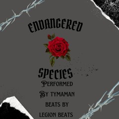 Nobody Safe performed by Tymaman Olschool (Beats by legion beats Anno Domini
