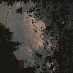 [ comfort in solitude ]