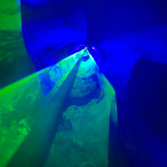 NAT000@BLACKSHEEP115.20251101