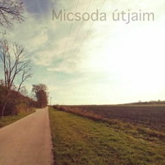 Micsoda útjaim - Cseh Tamás és Bereményi Géza dala