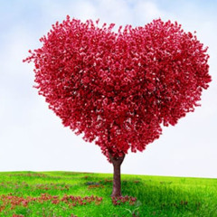 تملكتم عقلي - هيثم الحلبي