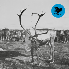 Simleflokk under månen (feat. Morten Qvenild, Mats Eilertsen & Håkon Mørch Stene)